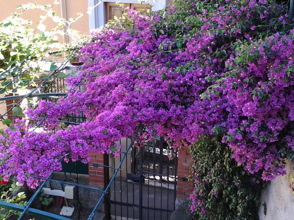 Casa Bouganville ลาสเปเซีย ภายนอก รูปภาพ